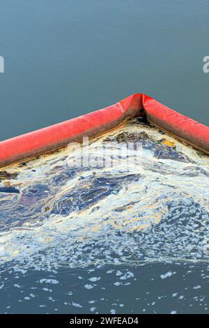 barrière flottante pour débris flottant dans un bassin. barrière pour débris flottants. nettoyage d'un étang des débris. boom à la surface de l'eau Banque D'Images