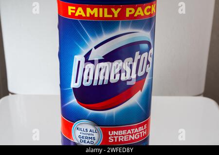 Bouteille de Family Pack Domestos Thick Bleach Banque D'Images