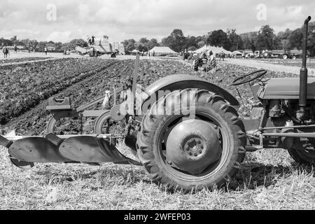 Drayton.Somerset.royaume-Uni.19 août 2023.Un Massey Ferguson TE20 restauré est sur le point de participer à un match de labourage sur un Yesterdays Farming ev Banque D'Images