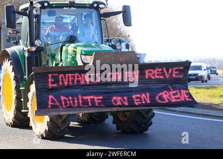 Ussac/Gare d'Aubazine, France. 30 janvier 2024. Colère et manifestations des agriculteurs en France. Les agriculteurs de Corrèze quittent l’autoroute A20 qu’ils bloquent pour effectuer une inspection dans une entreprise spécialisée dans la transformation et la commercialisation des fruits à coque. Ils veulent vérifier la proportion de noix françaises par rapport aux noix importées de pays étrangers qui ne sont pas soumis aux mêmes normes. Ussac/Gare d'Aubazine, Corrèze, Limousin, Nouvelle Aquitaine, France, Europe. Photo Hugo Martin/Alamy Live News. Banque D'Images