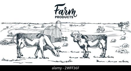 Illustration vintage de vecteur de croquis dessiné à la main de ferme laitière de lait. Les vaches paissent sur les prairies dans les champs de campagne. Agriculture et agriculture paysage rural ba Illustration de Vecteur