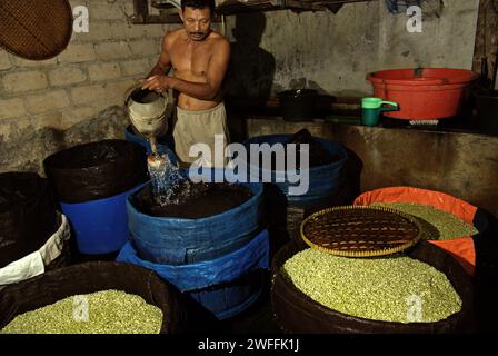 Un homme verse de l'eau dans une ferme de pousses de haricots à Jakarta, en Indonésie. Les germes de haricot mungo sont un légume culinaire qui, en raison de son adaptabilité et de ses bienfaits nutritifs, a depuis l’Antiquité été largement cultivé et consommé en Asie de l’est et du Sud-est, selon une équipe de chercheurs dirigée par Mohammad Zakerin Abedin (Département de botanique, Laboratoire de microbiologie, Université Jahangirnagar, Dhaka) dans un article publié en 2022 sur South Asian Journal of Research in Microbiology. Les haricots mungo peuvent être facilement germés en les mettant à l'ombre et en les arrosant jusqu'à germer, avec le... Banque D'Images