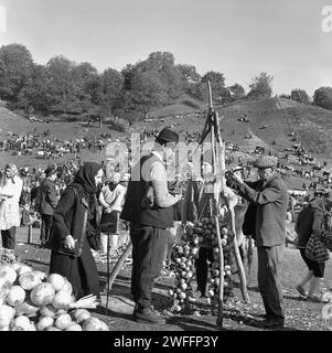 Foire de campagne dans le comté de Vrancea, Roumanie, env. 1979. Vendeur pesant un bouquet d'oignon sur une balance vintage. Banque D'Images