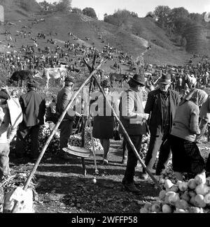 Personnes à une foire de campagne dans le comté de Vrancea, Roumanie, env. 1979. Une échelle vintage tenue sur des poteaux en bois. Banque D'Images