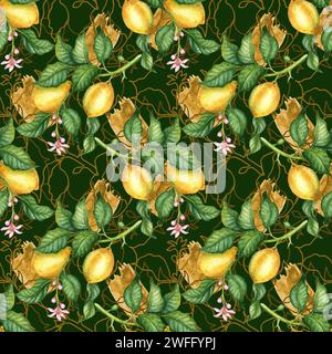 Illustration à l'aquarelle d'un motif de citrons jaunes avec des feuilles vertes, des fleurs, des contours bruns et des traits de peinture sur un fond vert. Compositions Banque D'Images