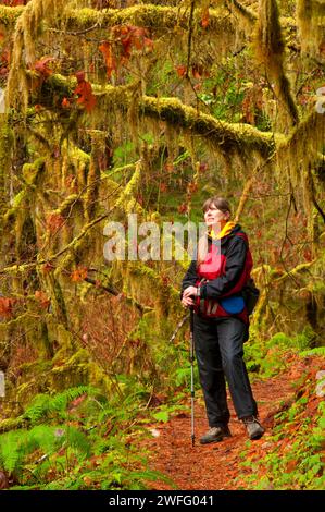 Sentier des Chutes du Kentucky, Kentucky Falls Zone d'intérêt spécial, forêt nationale de Siuslaw, Oregon Banque D'Images