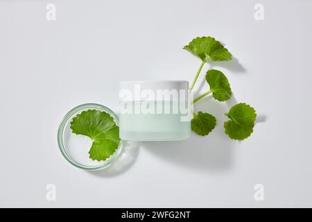 Vue depuis le haut d'un bocal décoré de feuilles de Gotu kola. Gotu kola (Centella asiatica) apporte plus d'oxygène et de nutriments à la peau Banque D'Images