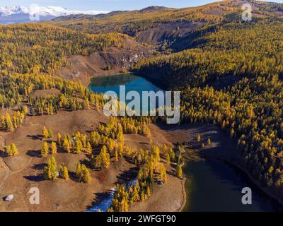 Superbe prise de vue aérienne capture un lac de montagne serein au milieu d'un feuillage d'automne doré dans le paysage de l'Altaï. Banque D'Images