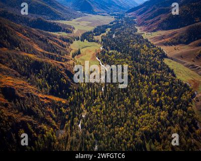 Superbe prise de vue aérienne capturant les couleurs vives et la beauté sereine du paysage de l'Altaï pendant l'automne avec la forêt et la rivière. Banque D'Images