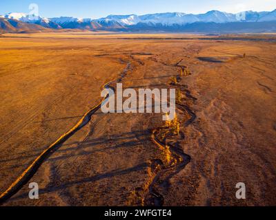 Superbe prise de vue aérienne capturant les textures contrastées de la steppe de Kurai à l'automne avec les montagnes enneigées de l'Altaï. Banque D'Images