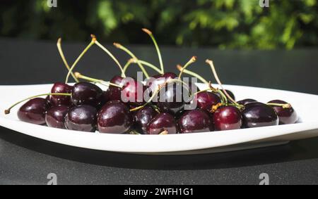 Cerisier, cerise douce (Prunus avium), cerises douces sur une assiette Banque D'Images