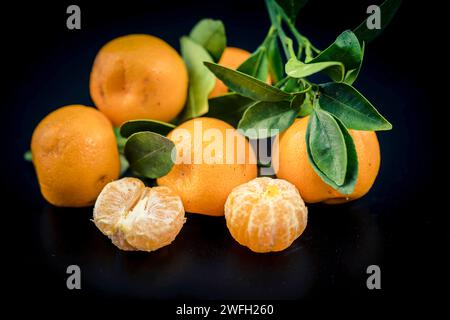 Calamondin, Calomondin, Camalmansi (Citrus madurensis, Citrofortunella microcarpa, Citrus fortunella, Citrus mitis), fruits sur fond noir Banque D'Images