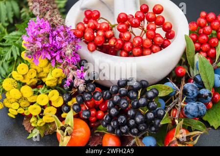 Décoration d'automne avec mortier, fleurs et divers fruits comestibles et vénéneux : bois de chien, hanches de rose, fruits de prunelle, rose de guelder et tomate Banque D'Images