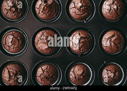 Vue au-dessus de petits muffins au chocolat cuits à l'intérieur du moule à muffins à l'intérieur de la maison. Fond créatif. Banque D'Images