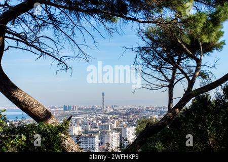 Vue en grand angle de la Grande Mosquée d'Alger. Vue panoramique. Banque D'Images