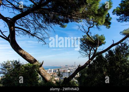 Vue en grand angle de la Grande Mosquée d'Alger. Vue panoramique. Banque D'Images