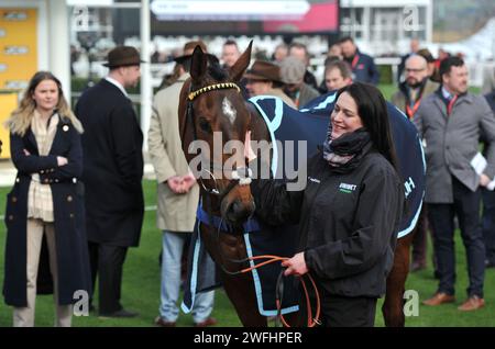 Course 1 12,05 la JCB Triumph Trial Hurdle Race. Le vainqueur de la course Sir Gino Horse Racing à Cheltenham Racecourse, Prestbury Park le jour du Festival Trials Banque D'Images