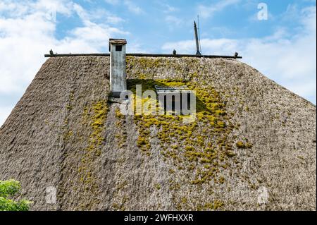 Toit de chaume caractéristique de l'ancien Maso Plattner, site du Musée des abeilles, Costalovara, municipalité de Ritten, Tyrol du Sud. Trentin-Haut-Adige, Banque D'Images