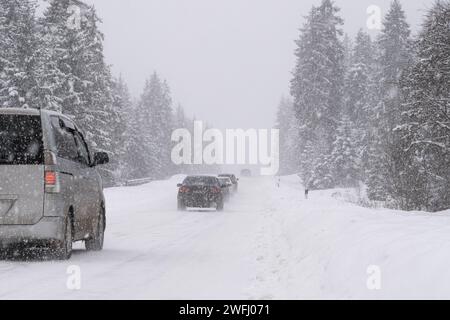 Les véhicules naviguent à travers une forte chute de neige sur une route bordée de pins, soulignant les défis de la conduite hivernale dans les zones boisées. Banque D'Images