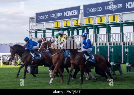 Ascot, Berkshire, Royaume-Uni. 6 octobre 2023. Coureurs dans les Troy Asset Management Noel Murless Stakes à l'hippodrome d'Ascot lors de la réunion du vendredi d'automne Racing. Crédit : Maureen McLean/Alamy Banque D'Images