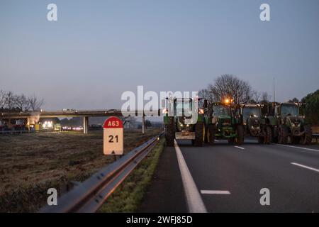 Bordeaux, France. 31 janvier 2024. © PHOTOPQR/Sud Ouest/Thierry DAVID ; Bordeaux ; 31/01/2024 ; DESCRIPTION :DESCRIPTION :Bordeaux 31 janvier 2024. Autoroute A 63 Echangeur 23 Marcheprime. Agriculteurs en couleur .les agriculteurs organisateurs le bloc de l'autoroute A63 entre Bordeaux et Arcachon. un bloc est en cours ce mercredi 31 janvier sur l'autoroute A63, proche de l'Echangeur 23 dans les deux sens de circulation, au niveau de Marcheprime (Gironde).photo Thierry DAVID French Farmers' Protest Continuer France Jan 31, 2024 Credit : MAXPPP/Alamy Live News Banque D'Images