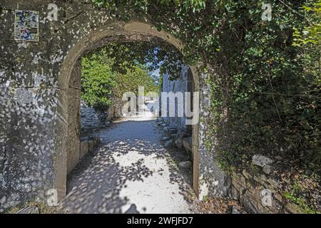 Vue à travers une porte incurvée envahie par la végétation sur un chemin non pavé dans une ruine de château médiéval pendant la journée Banque D'Images