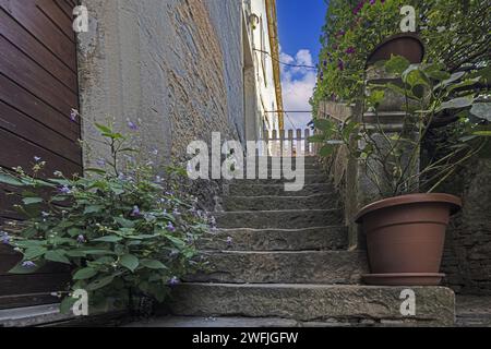 Image d'un vieil escalier extérieur en pierre dans une ville médiévale pendant la journée Banque D'Images