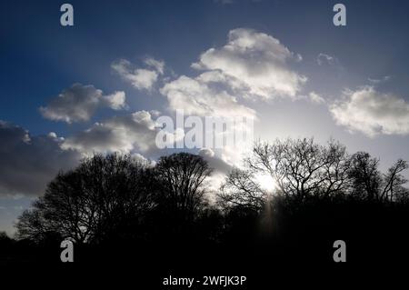 la lumière du soleil à travers les nuages et la silhouette des arbres d'hiver Banque D'Images