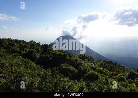 Izalco un stratovolcan actif près du volcan Santa Ana, El Salvador Amérique centrale Banque D'Images