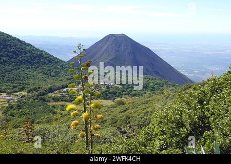 Izalco un stratovolcan actif près du volcan Santa Ana, El Salvador Amérique centrale Banque D'Images