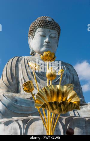 Nofuku-Ji, Big Buddha, Hyogo Daibutsu à Kobe, Japon Banque D'Images