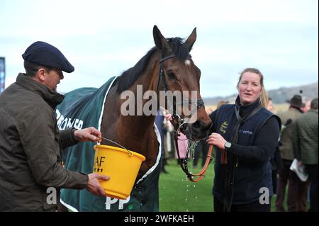 Course 3 1,15 The Paddy Power Cheltenham Countdown Podcast handicap Chase (Class 1 Premier handicap) vainqueur de la course GA Law courses hippiques à Cheltenham Banque D'Images