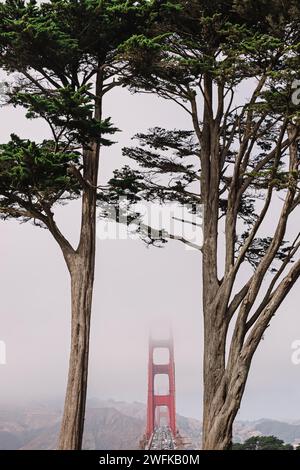 Vue sur le Golden Gate Bridge à San Francisco le jour de brouillard Banque D'Images
