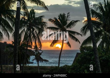 Vue ouest de l'extrémité ouest de Molokai, Hawaï. Palmiers et plantes indigènes, coucher de soleil et surf. Banque D'Images