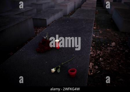 Deutschland, Berlin, 27.01.2024, Holocaust Mahnmal, Jahrestags der Befreiung des Vernichtungs- und Konzentrationslagers Auschwitz-Birkenau, weiße Rose, rote Rosen, Kerze, Rolf Zoellner Holocaust Gedenktag *** Allemagne, Berlin, 27 01 2024, Mémorial de l'Holocauste, anniversaire de la libération des roses Auschwitz Birkenau et camp de Birkenau, rose blanche, rose, rose, exterminaisons rouges, Rolf Zoellner Journée commémorative de l'Holocauste Banque D'Images