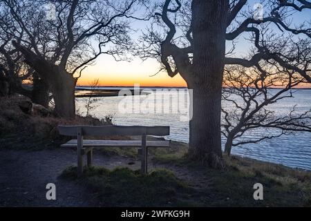 Regardant à travers les arbres après le coucher du soleil le long du sentier côtier près d'Itchenor dans le magnifique port de Chichester. Banque D'Images