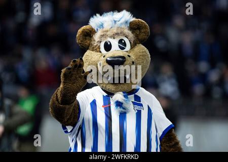 Berlin, Deutschland. 31 janvier 2024. Maskottchen Hertha BSC DFB-Pokal 2023/24, Viertelfinale : Hertha BSC - 1. FC Kaiserslautern, Olympiastadion, Berlin, 31.01.2024 LA RÉGLEMENTATION DFB INTERDIT TOUTE UTILISATION DE PHOTOGRAPHIES COMME SÉQUENCES D'IMAGES ET/OU QUASI-VIDÉO/dpa/Alamy Live News Banque D'Images