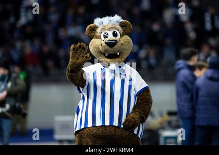 Berlin, Deutschland. 31 janvier 2024. Maskottchen Hertha BSC DFB-Pokal 2023/24, Viertelfinale : Hertha BSC - 1. FC Kaiserslautern, Olympiastadion, Berlin, 31.01.2024 LA RÉGLEMENTATION DFB INTERDIT TOUTE UTILISATION DE PHOTOGRAPHIES COMME SÉQUENCES D'IMAGES ET/OU QUASI-VIDÉO/dpa/Alamy Live News Banque D'Images