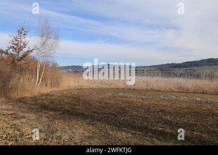 Impressionen aus Seegräben in der Schweiz Banque D'Images