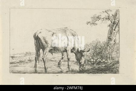 Buvable Bull, Jan Kobell (II), 1788 - 1814 imprimer dans un paysage il y a un taureau à un arbre d'un étang à boire, où il est capable de ses chevilles. Deux vaches de pâturage en arrière-plan. vache de gravure de papier Banque D'Images