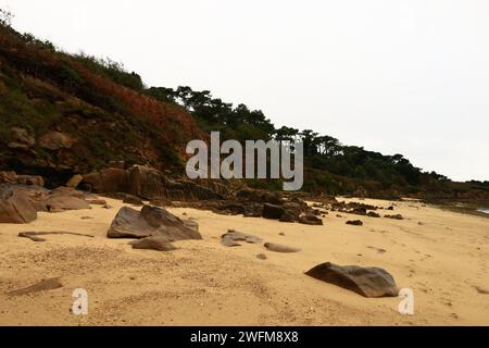 Vue sur la plage de Tahiti située sur la commune de Carantec dans le département du Finistère en Bretagne Banque D'Images