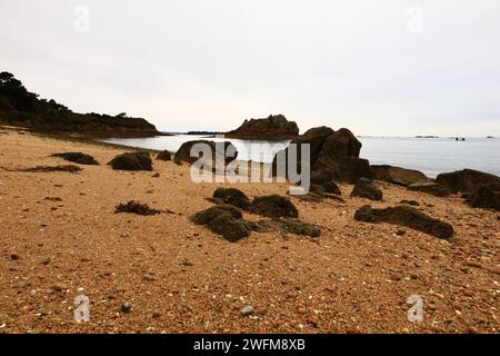 Vue sur la plage de Tahiti située sur la commune de Carantec dans le département du Finistère en Bretagne Banque D'Images