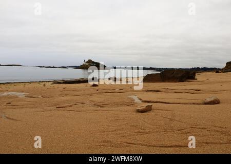 Vue sur la plage de Tahiti située sur la commune de Carantec dans le département du Finistère en Bretagne Banque D'Images
