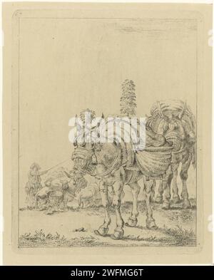 Deux mules emballées, Johannes Janson, d'après Karel du jardin, 1761 - 1784 impriment deux mules emballées, l'une avec des plumes sur la tête et le dos. Sur la gauche en arrière-plan un cavalier qui continue deux autres mules. Mule de gravure de papier Leiden Banque D'Images