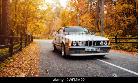 Coupé BMW série 6 classique argenté E24. Vue de face d'une BMW 'sharknose' des années 1980 avec phares ronds le jour d'automne doré dans une forêt Banque D'Images