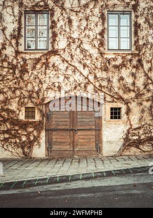 Façade d'une ancienne maison européenne avec porte en bois. Ivy mur couvert de bâtiment beige dans la petite ville. Banque D'Images