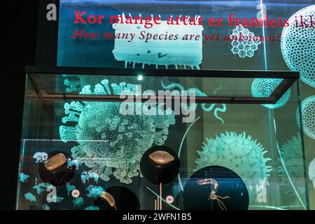 Expositions sur la faune au Musée universitaire de Bergen, Norvège Banque D'Images