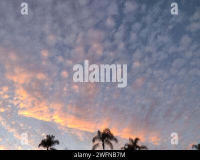 San Diego, Californie, États-Unis. 31 janvier 2024. Le coucher de soleil rose et orange resplendissant et varié à San Diego, en Californie, avant le début de l'Pineapple Express Pacific Storm qui secouera l'état le mercredi 31 janvier 2024 (image de crédit : © Rishi Deka/ZUMA Press Wire) À USAGE ÉDITORIAL UNIQUEMENT! Non destiné à UN USAGE commercial ! Banque D'Images