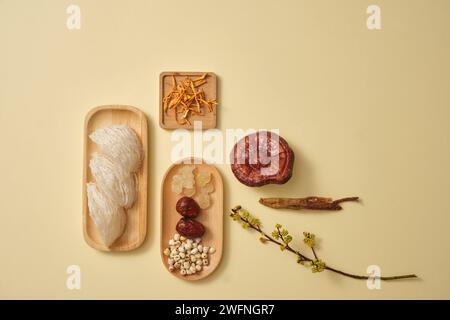 Nid d'oiseau placé sur une plaque de bois et à côté de lui se trouve cordyceps, champignon lingzhi, ginseng et un plat d'herbes, décoré de branche de fleur. Un luxe Banque D'Images