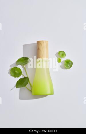 Un bocal avec bouchon en bois décoré de feuilles de gotu kola sur fond blanc. Maquette de marque de produit cosmétique. Gotu kola (Centella asiatica) est g. Banque D'Images